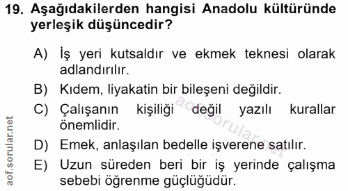 19. soru: Aşağıdakilerden hangisi Anadolu kültüründe yerleşik düşüncedir? A) Iş yeri kutsaldır ve ekmek teknesi olarak adlandır…