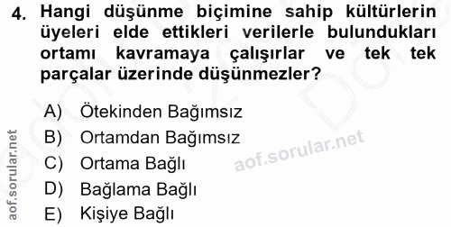 4. soru: Hangi düşünme biçimine sahip kültürlerin üyeleri elde ettikleri verilerle bulundukları ortamı kavramaya çalışırlar ve…