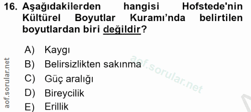 16. soru: Aşağıdakilerden hangisi Hofstede'nin Kültürel Boyutlar Kuramı'nda belirtilen boyutlardan biri değildir? A) Kaygı B) B…