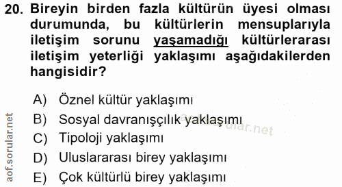 20. soru: Bireyin birden fazla kültürün üyesi olması durumunda, bu kültürlerin mensuplarıyla iletişim sorunu yaşamadığı kültürl…