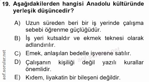 19. soru: Aşağıdakilerden hangisi Anadolu kültüründe yerleşik düşüncedir? A) Uzun süreden beri bir iş yerinde çalışma sebebi öğ…