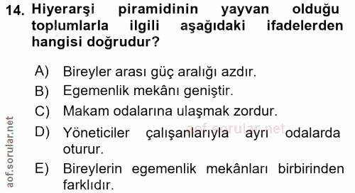 14. soru: Hiyerarşi piramidinin yayvan olduğu toplumlarla ilgili aşağıdaki ifadelerden hangisi doğrudur? A) Bireyler arası güç…
