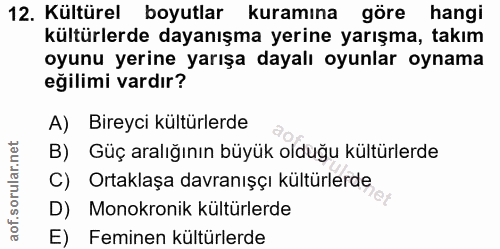 12. soru: Kültürel boyutlar kuramına göre hangi kültürlerde dayanışma yerine yarışma, takım oyunu yerine yarışa dayalı oyunlar…