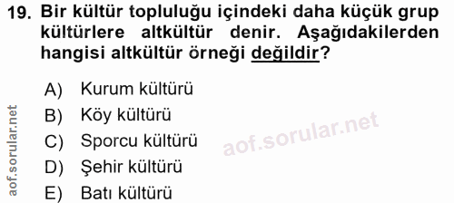 19. soru: Bir kültür topluluğu içindeki daha küçük grup kültürlere altkültür denir. Aşağıdakilerden hangisi altkültür örneği de…