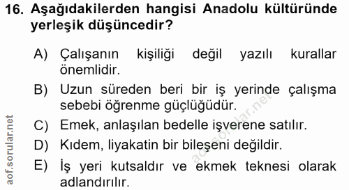 16. soru: Aşağıdakilerden hangisi Anadolu kültüründe yerleşik düşüncedir? A) Çalışanın kişiliği değil yazılı kurallar önemlidir…