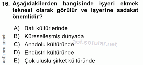 16. soru: Aşağıdakilerden hangisinde işyeri ekmek teknesi olarak görülür ve işyerine sadakat önemlidir? A) Batı kültürlerinde B…