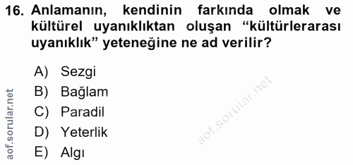 16. soru: Anlamanın, kendinin farkında olmak ve kültürel uyanıklıktan oluşan "kültürlerarası uyanıklık" yeteneğine ne ad verili…