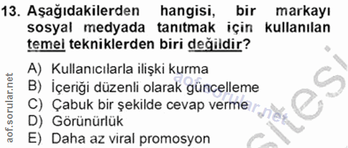 13. soru: Aşağıdakilerden hangisi, bir markayı sosyal medyada tanıtmak için kullanılan temei tekniklerden biri değildir? A) Kul…