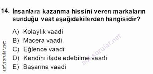 14. soru: İnsanlara kazanma hissini veren markaların sunduğu vaat aşağıdakilerden hangisidir? A) Kolaylık vaadi B) Macera vaadi…