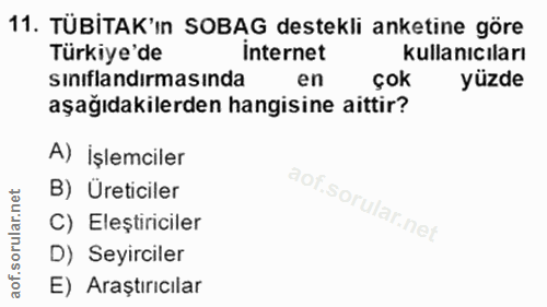 11. soru: TÜBİTAK'ın SOBAG destekli anketine göre Türkiye'de Internet kullanıcıları sınıflandırmasında en çok yüzde aşağıdakile…