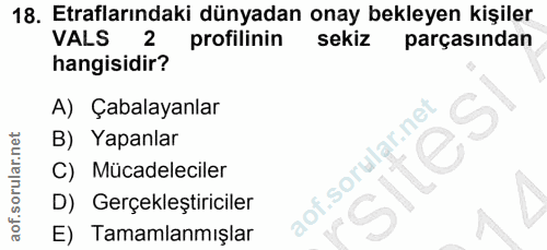 18. soru: Etraflarındaki dünyadan onay bekleyen kişiler VALS 2 profilinin sekiz parçasından hangisidir? A) Çabalayanlar B) Yapa…