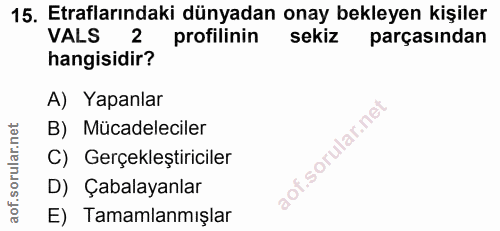 15. soru: Etraflarındaki dünyadan onay bekleyen kişiler VALS profilinin sekiz parçasından hangisidir? A) Yapanlar B) Mücadeleci…