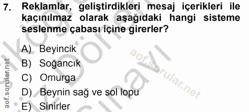 7. soru: Reklamlar, geliştirdikleri mesaj içerikleri ile kaçınılmaz olarak aşağıdaki hangi sisteme seslenme çabası içine girer…