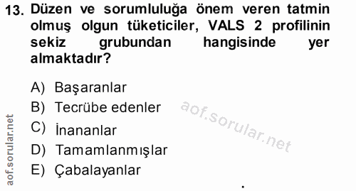 13. soru: Düzen ve sorumluluğa önem veren tatmin olmuş olgun tüketiciler, VALS 2 profilinin sekiz grubundan hangisinde yer alma…