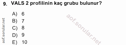 9. soru: VALS 2 profilinin kaç grubu bulunur? A) 6 B) 7 C) 8 D) 9 E) 10