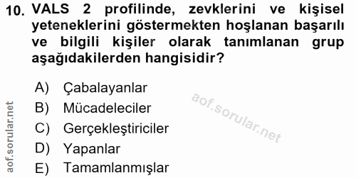 10. soru: VALS 2 profilinde, zevklerini ve kişisel yeteneklerini göstermekten hoşlanan başarılı ve bilgili kişiler olarak tanım…