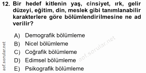 12. soru: Bir hedef kitlenin yaş, cinsiyet, ırk, gelir düzeyi, eğitim, din, meslek gibi tanımlanabilir karakterlere göre bölüml…