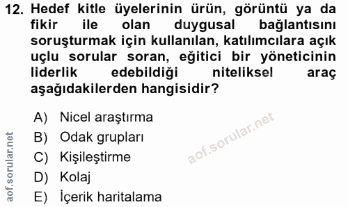 12. soru: Hedef kitle üyelerinin ürün, görüntü ya da fikir ile olan duygusal bağlantısını soruşturmak için kullanılan, katılımc…
