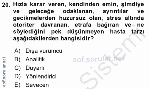 20. soru: Hızla karar veren, kendinden emin, şimdiye ve geleceğe odaklanan, ayrintılar ve gecikmelerden huzursuz olan, stres al…