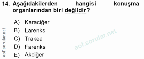 14. soru: Aşağıdakilerden hangisi konuşma organlarından biri değildir? A) Karaciğer B) Larenks C) Trakea D) Farenks E) Akciğer