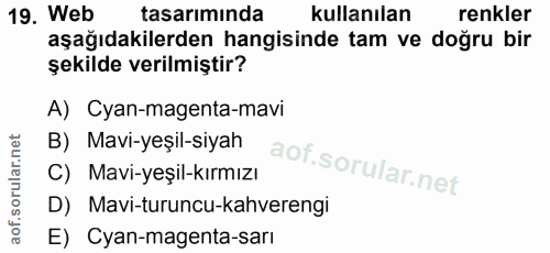 19. soru: Web tasarıminda kullanılan renkler aşağıdakilerden hangisinde tam ve doğru bir şekilde verilmiştir? A)Cyan-magenta-ma…