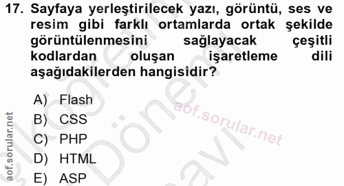 17. soru: Sayfaya yerleştirilecek yazı, görüntü, ses ve resim gibi farklı ortamlarda ortak şekilde görüntülenmesini sağlayacak…