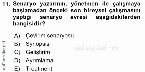 11. soru: Senaryo yazarının, yönetmen ile çalışmaya başlamadan önceki son bireysel çalışmasını yaptığı senaryo evresi aşağıdaki…