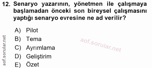 12. soru: Senaryo yazarının, yönetmen ile çalışmaya başlamadan önceki son bireysel çalışmasını yaptığı senaryo evresine ne ad v…