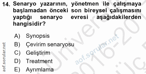 14. soru: Senaryo yazarının, yönetmen ile çalışmaya başlamadan önceki son bireysel çalışmasını yaptığı senaryo evresi aşağıdaki…