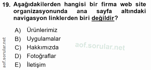 19. soru: Aşağıdakilerden hangisi bir firma web site organizasyonunda ana sayfa altındaki navigasyon linklerden biri değildir?…