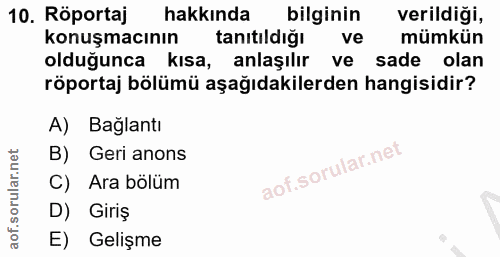 10. soru: Röportaj hakkında bilginin verildiği, konuşmacının tanıtıldığı ve mümkün olduğunca kısa, anlaşılır ve sade olan röpor…