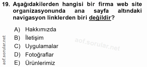 19. soru: Aşağıdakilerden hangisi bir firma web site organizasyonunda ana sayfa altındaki navigasyon linklerden biri değildir?…