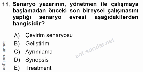 11. soru: Senaryo yazarının, yönetmen ile çalışmaya başlamadan önceki son bireysel çalışmasını yaptığı senaryo evresi aşağıdaki…
