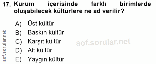 17. soru: Kurum içerisinde farklı birimlerde oluşabilecek kültürlere ne ad verilir? A) Ust kültür B) Baskın kültür C) Karşıt kü…
