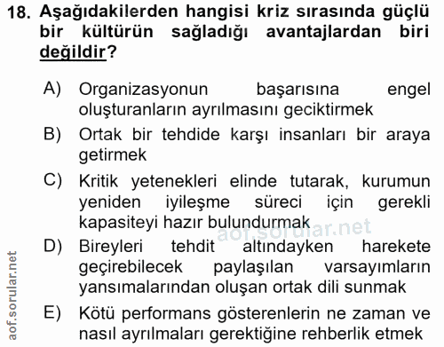 18. soru: Aşağıdakilerden hangisi kriz sırasında güçlü bir kültürün sağladığı avantajlardan biri değildir? A) Organizasyonun ba…