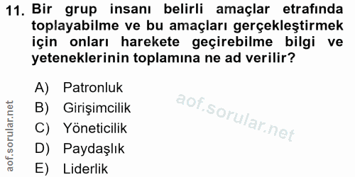 11. soru: Bir grup insanı belirli amaçlar etrafinda toplayabilme ve bu amaçları gerçekleştirmek için onları harekete geçirebilm…