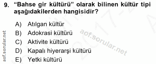 9. soru: ."Bahse gir kültürü" olarak bilinen kültür tipi aşağıdakilerden hangisidir? A) Atılgan kültür B) Adokrasi kültürü C)…