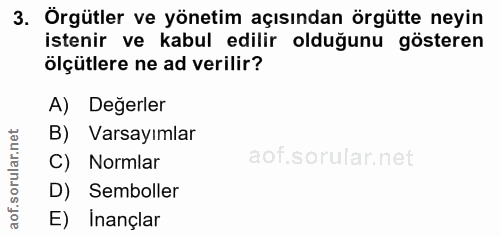 3. soru: Örgütler ve yönetim açısından örgütte neyin istenir ve kabul edilir olduğunu gösteren ölçütlere ne ad verilir? A) Deg…