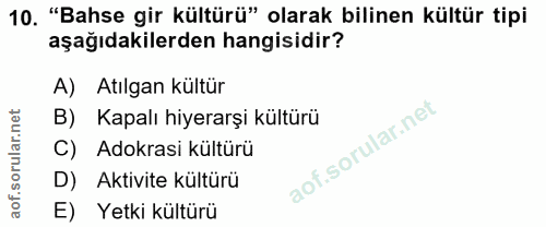 10. soru: "Bahse gir kültürü" olarak bilinen kültür tipi aşağıdakilerden hangisidir? A) Atılgan kültür B) Kapalı hiyerarşi kült…