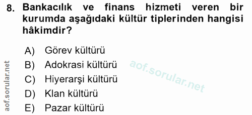 8. soru: Bankacılık ve finans hizmeti veren bir kurumda aşağıdaki kültür tiplerinden hangisi hâkimdir? A) Görev kültürü B) Ado…