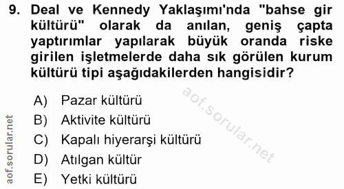 9. soru: Deal ve Kennedy Yaklaşımı'nda "bahse gir kültürü" olarak da anılan, geniş çapta yaptırımlar yapılarak büyük oranda ri…