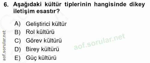 6. soru: Aşağıdaki kültür tiplerinin hangisinde dikey iletişim esastır? A) Geliştirici kültür B) Rol kültürü Görev kültürü D)…