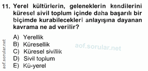 11. soru: Yerel kültürlerin, geleneklerin kendilerini küresel sivil toplum içinde daha başarılı bir biçimde kurabilecekleri anl…