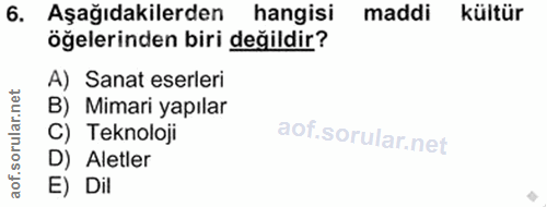 6. soru: Aşağıdakilerden hangisi maddi kültür öğelerinden biri değildir? A) Sanat eserleri B) Mimari yapılar C) Teknoloji D) A…