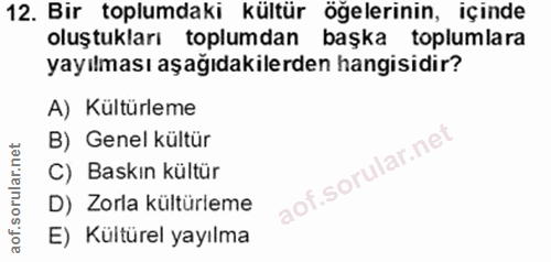 12. soru: Bir toplumdaki kültür öğelerinin, içinde oluştukları toplumdan başka toplumlara yayılması aşağıdakilerden hangisidir?…