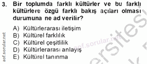3. soru: Bir toplumda farklı kültürler ve bu farklı kültürlere özgü farklı bakış açıları olması durumuna ne ad verilir? A) Kül…