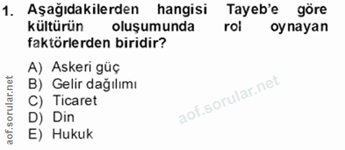 1. soru: Aşağıdakilerden hangisi Tayeb'e göre kültürün oluşumunda rol oynayan faktörlerden biridir? A) Askeri güç B) Gelir dağ…