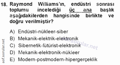 18. soru: Raymond Williams'in, endüstri sonrası toplumu incelediği üç ana başlık aşağıdakilerden hangisinde birlikte ve doğru v…