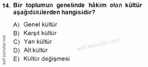 14. soru: Bir toplumun genelinde hâkim olan kültür aşağıdakilerden hangisidir? A) Genel kültür B) Karşıt kültür C) Yan kültür D…
