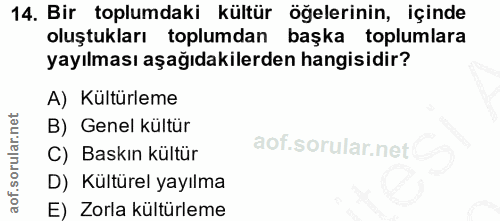 14. soru: Bir toplumdaki kültür öğelerinin, içinde oluştukları toplumdan başka toplumlara yayılması aşağıdakilerden hangisidir?…